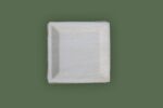 Areca Leaf Square Plate