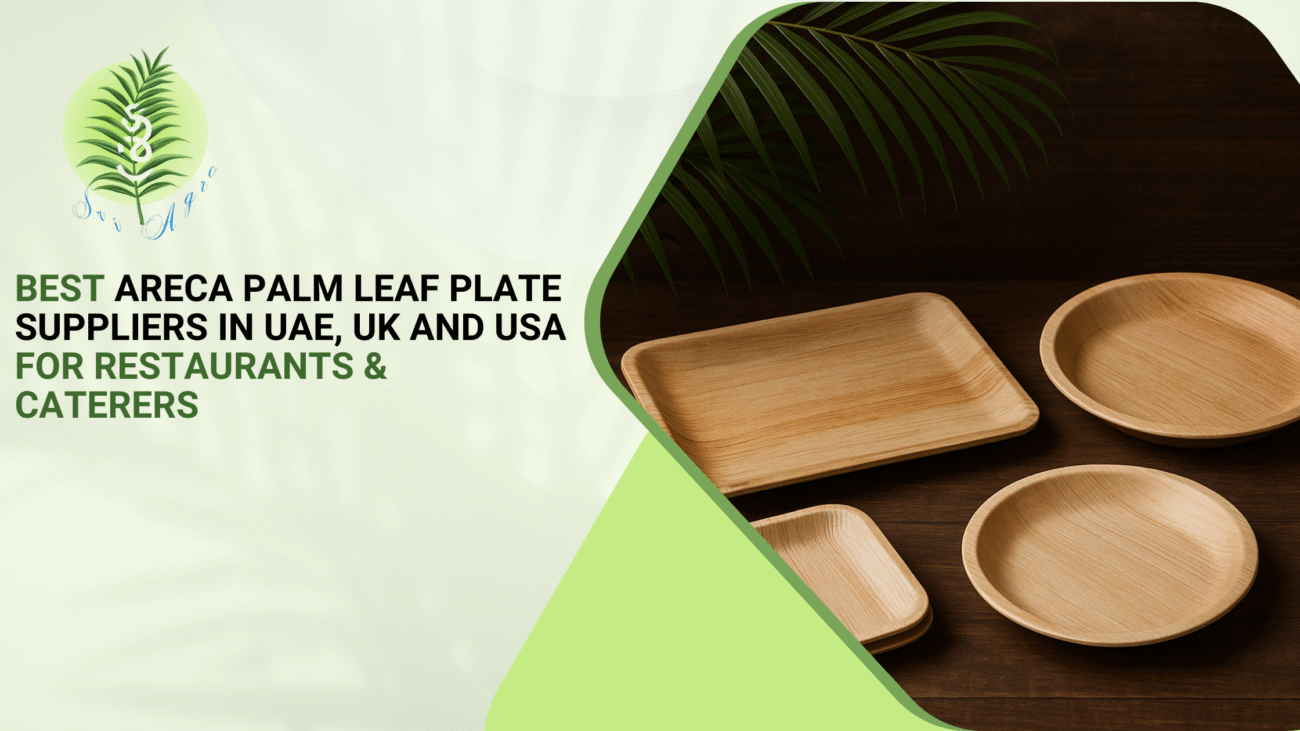 Best Areca Palm Leaf Plate Suppliers in UAE, UK and USA