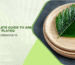 Complete Guide to Areca Palm Leaf Plates Sustainable