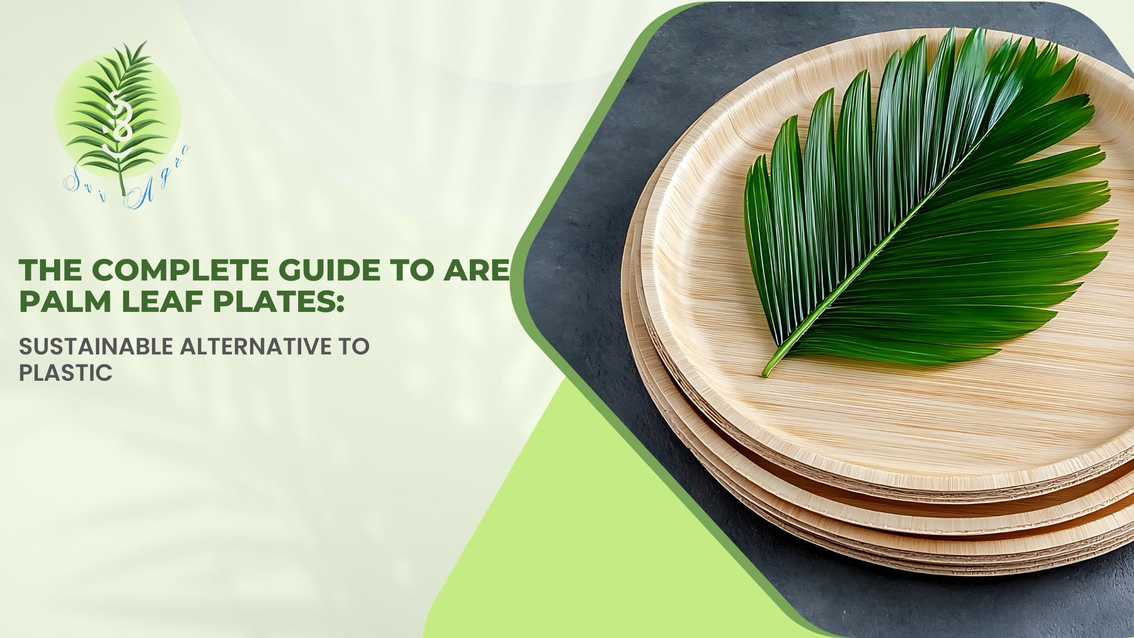 Complete Guide to Areca Palm Leaf Plates Sustainable