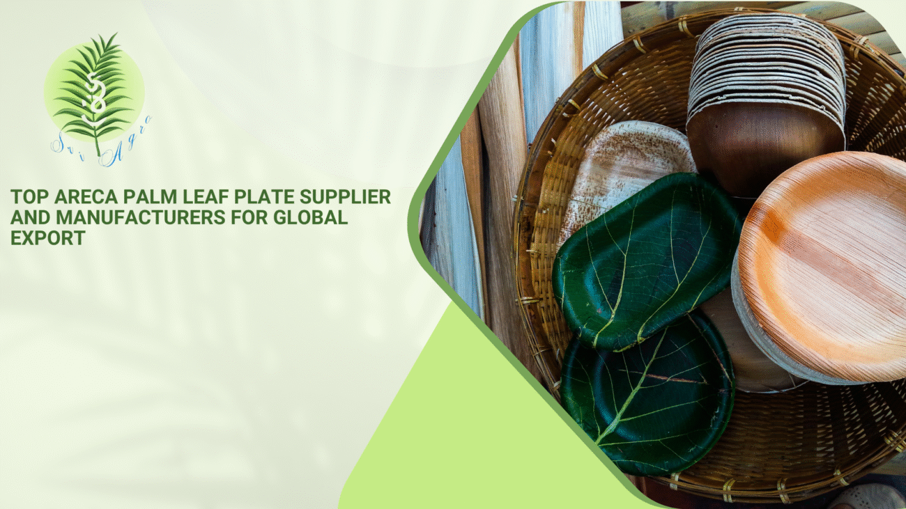 Areca Palm Leaf Plate Supplier and Manufacturers for Global Export
