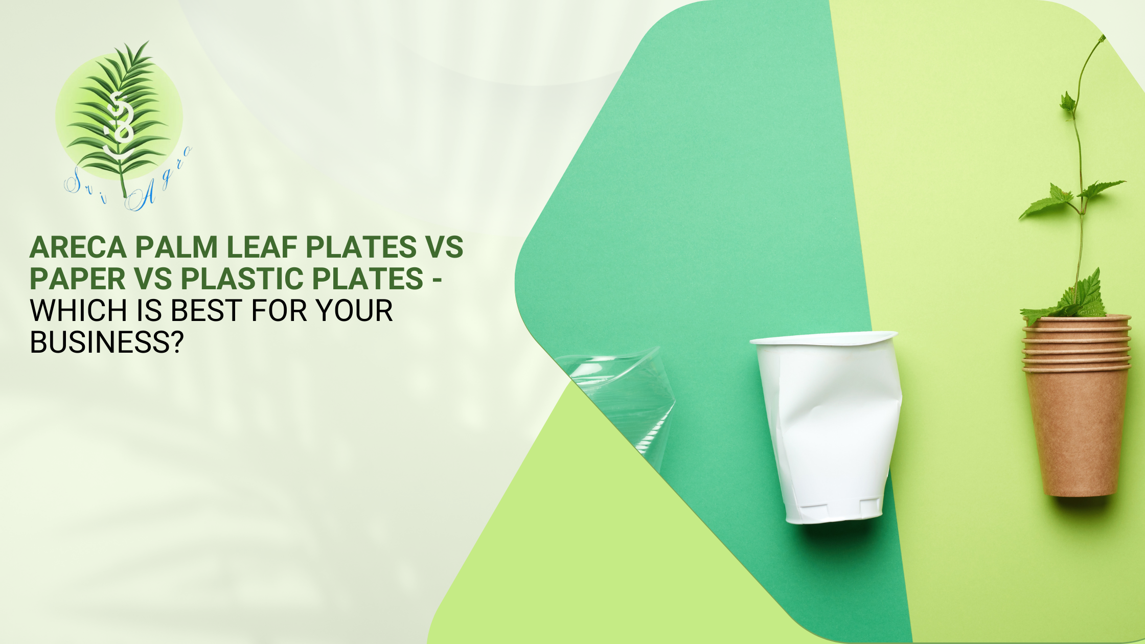 Areca Palm Leaf Plates vs Paper vs Plastic Plates