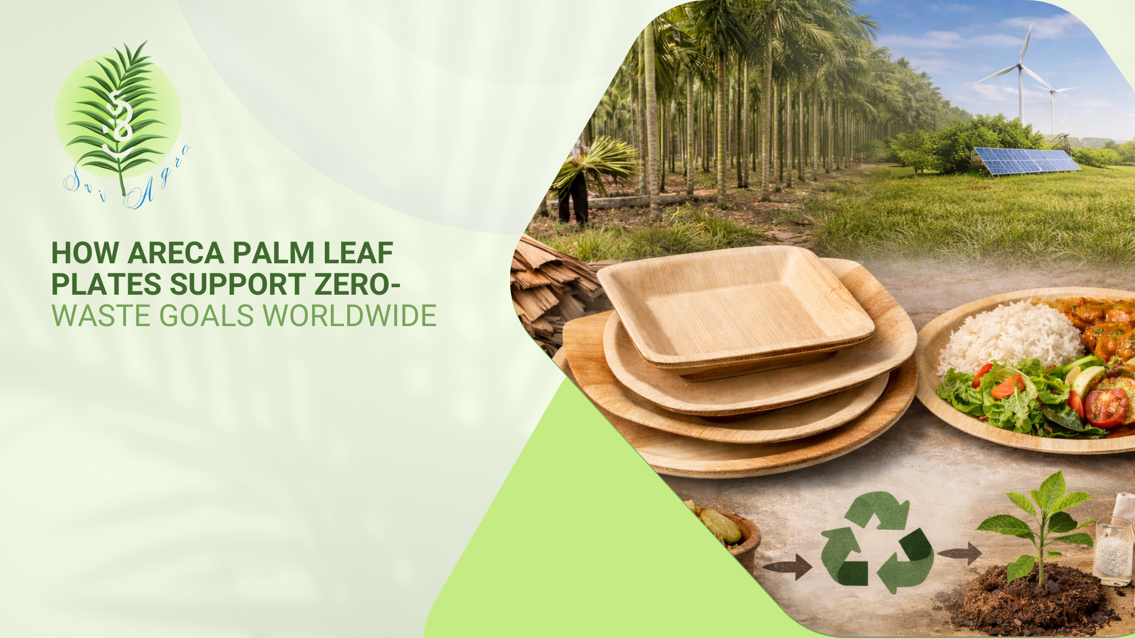 Top areca palm leaf plates in sriagro