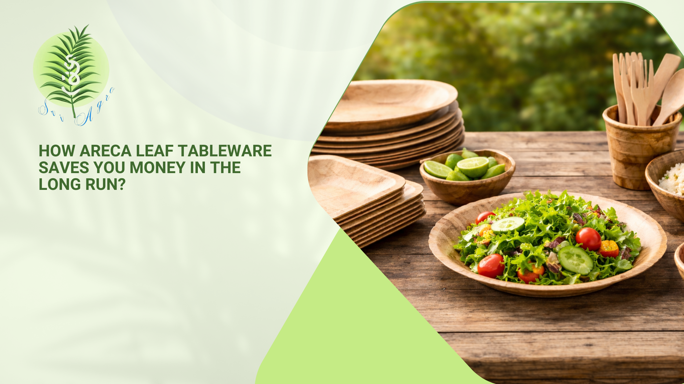 Areca Leaf Plates vs Plastic Plates: Cost Comparison